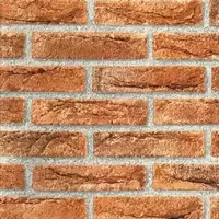 Samolepící tapeta 346-0221 0.450x2m