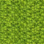 Skleněný panel 60/60 Evergreen-2 Esg