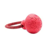 Akinu ČESKÝ LES houba s provazem pro psy červená