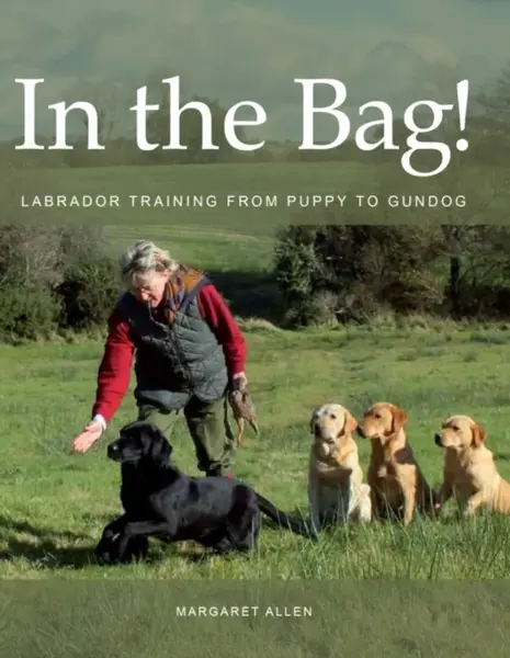 In the Bag! - Margaret Allen