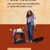 Poslušnost i bez vodítka - Leslie McDevittová
