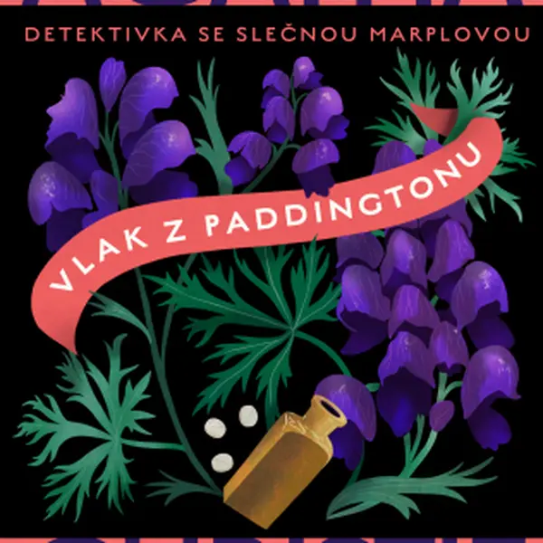 Vlak z Paddingtonu - Agatha Christie - e-kniha