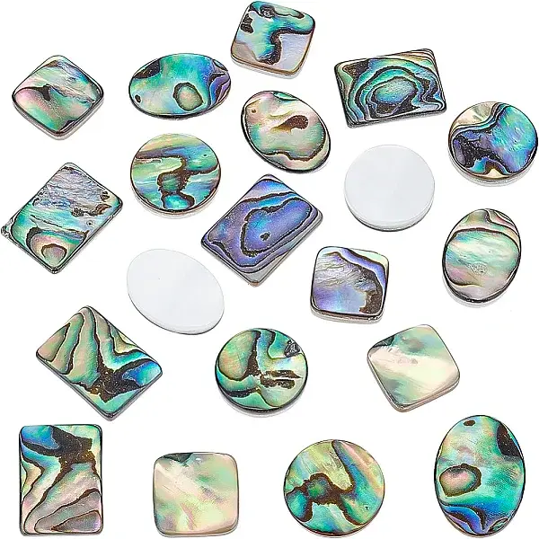 16Pcs 4 Style Natural Shell Cabochons