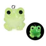 Luminous Resin with Alloy Pendants