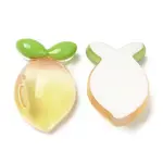 Translucent Resin Fruit Cabochons