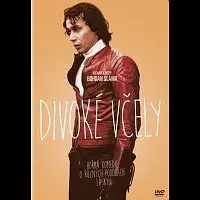 Různí interpreti – Divoké včely DVD