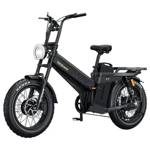 TESWAY X7 AWD Electric Bike 1000W*2 52V 60Ah Black