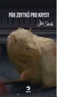 Pár zbytků pro krysy - Jiří Sivok