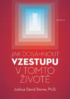 Jak dosáhnout vzestupu v tomto životě - Joshua David Stone