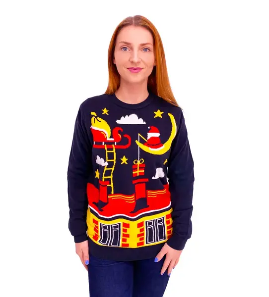 Dámsky sveter Santa Moon Frogies Christmas