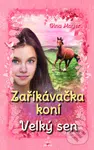 Zaříkávačka koní - Velký sen - Gina Mayer, Florentine Prechtel (Ilustrator) - kniha z kategorie Beletrie pro děti