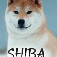 Shiba - Hana Petrusová