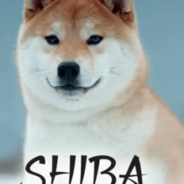 Shiba - Vše co potřebujete vědět o Shibě, včetně péče o zdraví, výchově, chovu a vystavování - Hana Petrusová