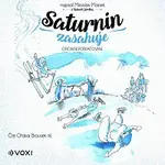 Miroslav  Macek, Miroslav  Macek – Saturnin zasahuje