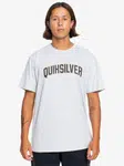 Men's T-shirt QuikSilver Scholarship