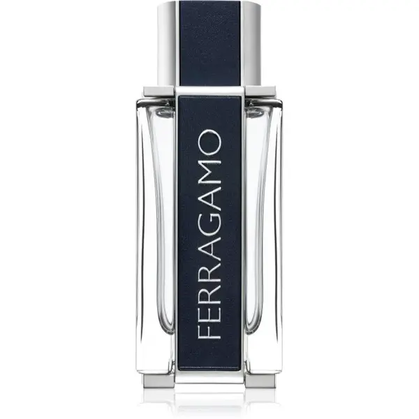 Ferragamo Ferragamo toaletná voda pre mužov 100 ml