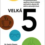 Velká pětka - David Fisher, Chopra Sanjiv, Ivan Kušiak