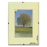 Obrazový rám BFHM s euroclipy - A1, 59,4 x 84 cm, plexi