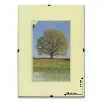 Obrazový rám BFHM s euroclipy - A1, 59,4 x 84 cm, plexi