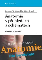 Anatomie v přehledech a schématech, Rohen W. Johannes