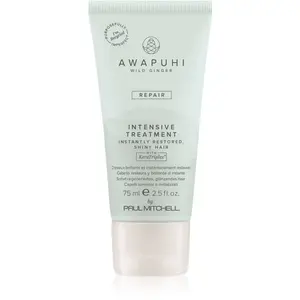 Paul Mitchell Awapuhi Wild Ginger Repair Intevsive Treatment intenzivní vlasová kúra pro poškozené vlasy 75 ml