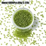 60G Glass Seed Beads