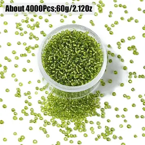 60G Glass Seed Beads