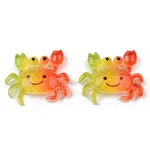 Rainbow Resin Cabochons