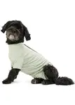 Obleček Body Suit Step N Go dog L zelený Buster