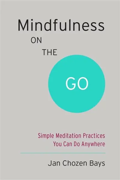 Mindfulness on the Go - Baysová Jan Chozen