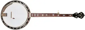 Roll´s Banjos 2009 Ron Rigsby 5