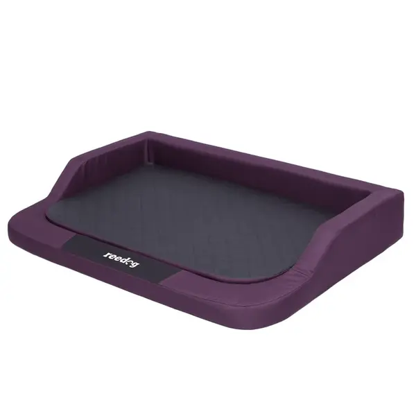 Reedog Pelíšek Purple Standard - L