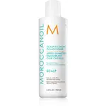 Moroccanoil Scalp Conditioner upokojujúci kondicionér pre mastnú pokožku hlavy proti lupinám 250 ml