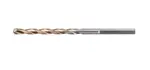 DeWALT Příslušenství - Vrták 10x134 mm DT6524
