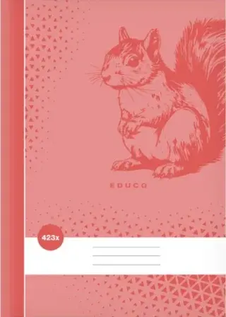 Školní sešit BASE 423x