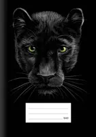 Školní sešit LUX A5 540