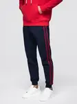 Ombre Men's sports jogger pants with stripes - navy blue
