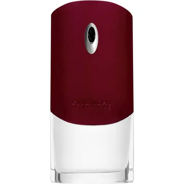 GIVENCHY Givenchy Pour Homme toaletná voda pre mužov 100 ml