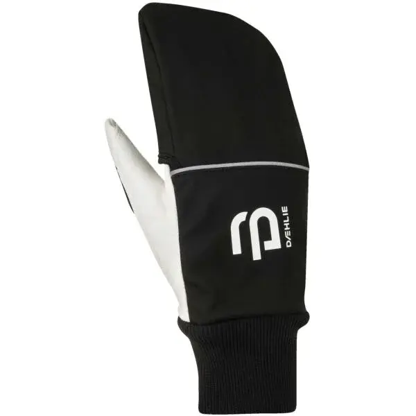 Daehlie GLOVE RACE COVERAGE FOR MEN Zimné rukavice, čierna, veľkosť