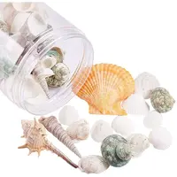 Sea Shell Beads
