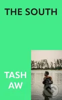South - Tash Aw - kniha z kategorie Společenská beletrie