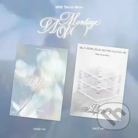 Viviz:  A Montage Of ( ) / Random Photobook edition