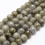 Natural Labradorite Beads Strands