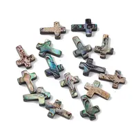 Natural Abalone Shell/Paua Shell Beads