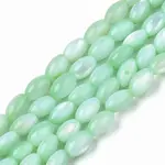 Natural Freshwater Shell Beads Strands