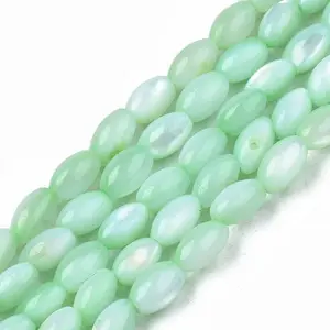 Natural Freshwater Shell Beads Strands