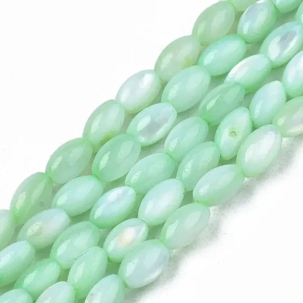Natural Freshwater Shell Beads Strands