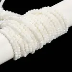 Natural Cultured Freshwater Shell Beads Strands