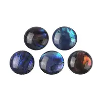 Natural Abalone Shell/Paua Shell Resin Cabochons