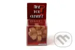 RECENTTOYS Are you Clever - hra z kategorie Domino, hlavolamy